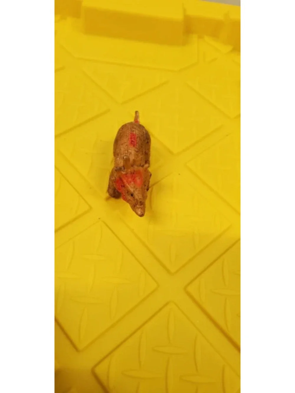 Vintage Plastic Triceratops Dinosaur Toy Figure Brown Mini Figurine